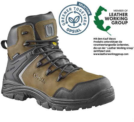 P70OR76_STEP_FOREST_OGT_LWG_DE