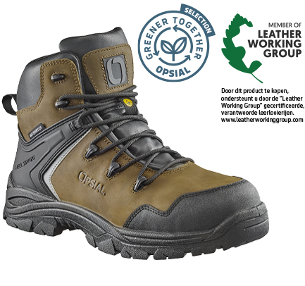 P70OR76_STEP_FOREST_OGT_LWG_NL