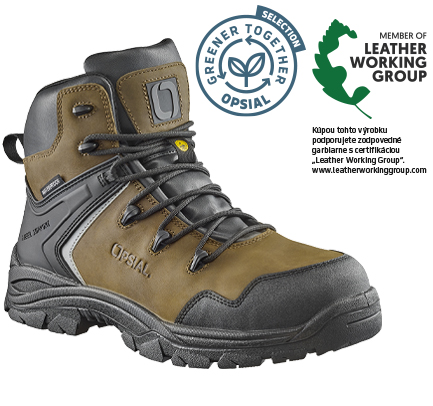 P70OR76_STEP_FOREST_OGT_LWG_SK