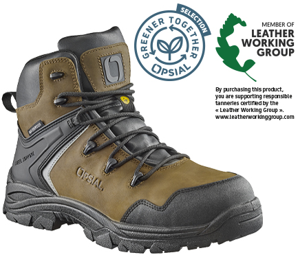 P70OR76_STEP_FOREST_OGT_LWG_EN